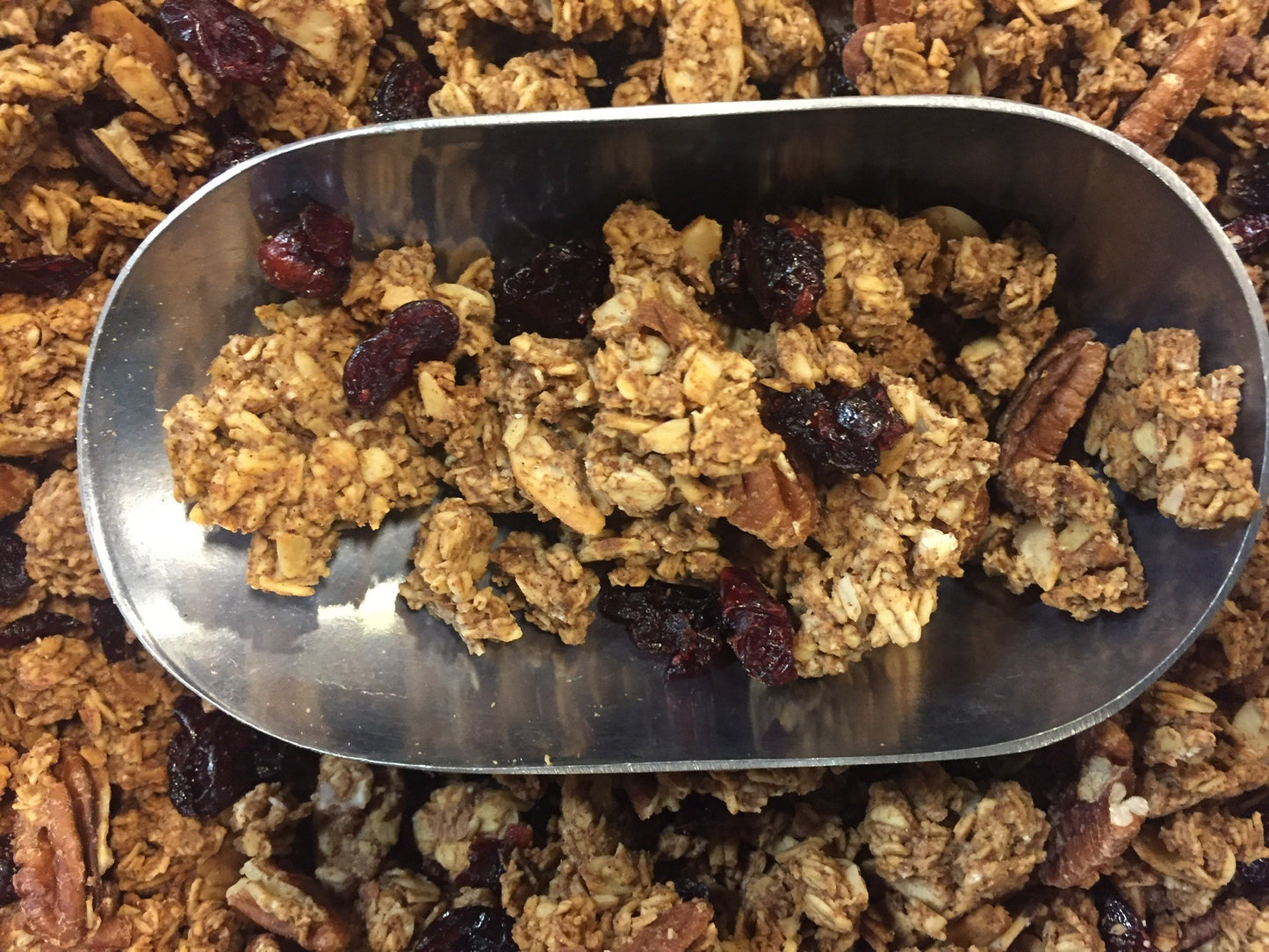 Cranberry Pecan All Day Granola (11oz. bags)  3 pack